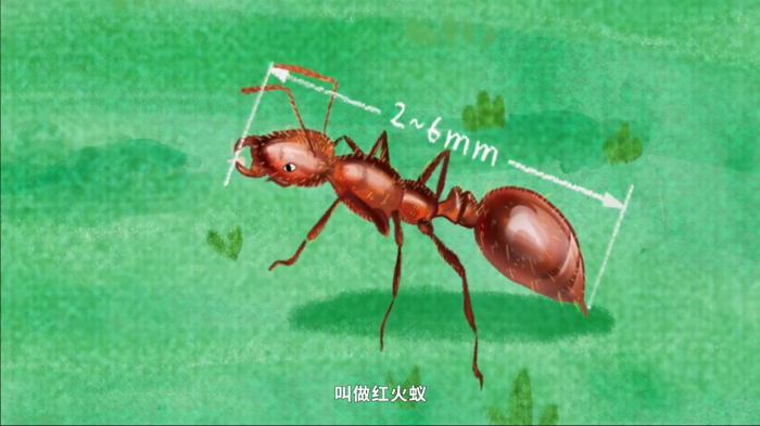 微信图片_2026-04-15_084928_858.png
